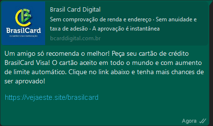 [Cartão de Crédito BrasilCard Visa]